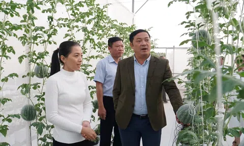 Ứng dụng nhiều giải pháp công nghệ và giải pháp sinh học vào sản xuất nông nghiệp