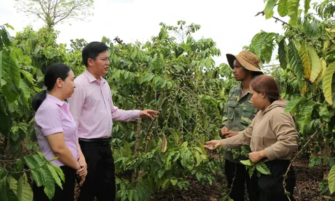 Nguồn vốn chính sách “tiếp sức” người dân Đắk Nông vượt qua hạn hán