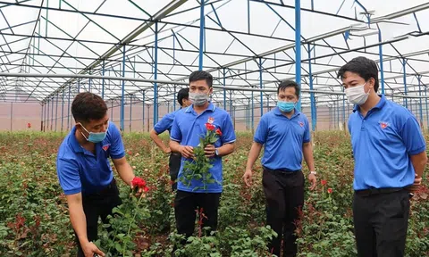 Xây dựng môi trường cho người trẻ tự tin khởi nghiệp