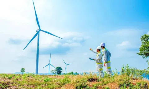 Đắk Nông kỳ vọng điện gió đi vào hoạt động sẽ đóng góp ngân sách 200 tỷ đồng mỗi năm