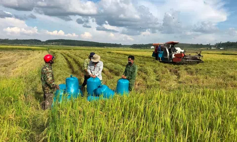 Krông Nô với mục tiêu nâng tầm sản xuất nông nghiệp và giá trị nông sản