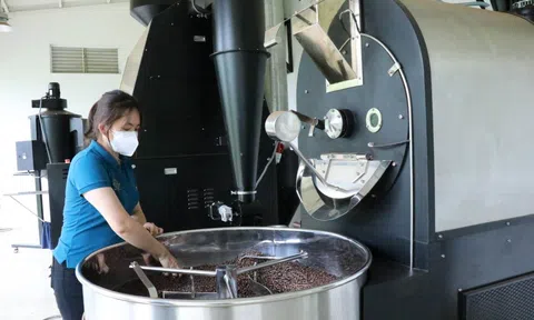 Đắk Lắk với chiến lược xuất khẩu cà phê “giảm thô, tăng chế biến sâu”