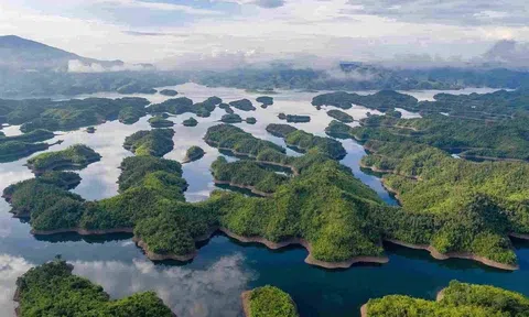 Thành công từ mô hình giao khoán đất rừng tại Vườn quốc gia Tà Đùng