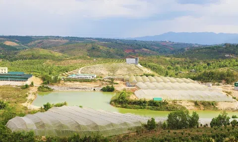 Đắk Nông tiếp tục đẩy mạnh nguồn lực cho nông nghiệp ứng dụng công nghệ cao