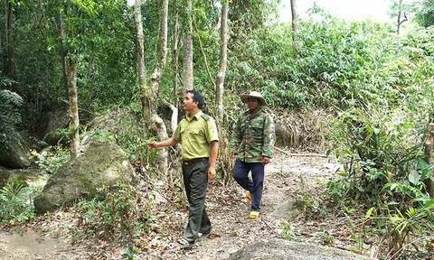 Krông Bông nỗ lực giữ rừng để phát triển kinh tế và nâng cao đời sống người dân