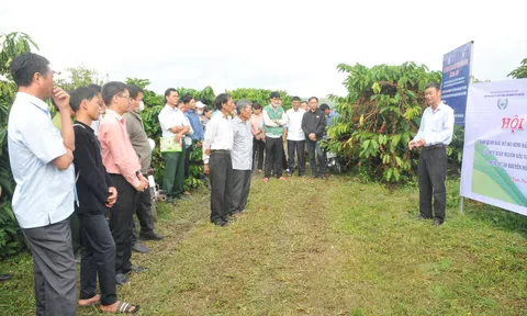 Nông dân Đắk Nông từng bước loại trừ thuốc diệt cỏ độc hại khỏi sản xuất nông nghiệp