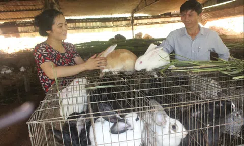 Đắk Song quyết tâm phát triển kinh tế tập thể trong lĩnh vực nông nghiệp