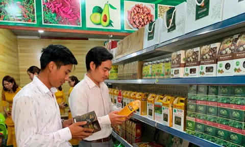Sản phẩm OCOP Đắk Nông: tiềm năng tỉ lệ nghịch với thị trường đầu ra