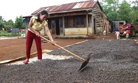 Tiếp sức cho phụ nữ khởi nghiệp vươn lên để thoát nghèo