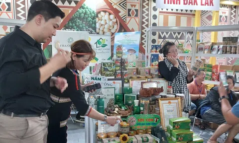 Sắp diễn ra Tuần lễ kết nối cung, cầu thúc đẩy tiêu thụ nông sản Đắk Lắk - TP. Hồ Chí Minh