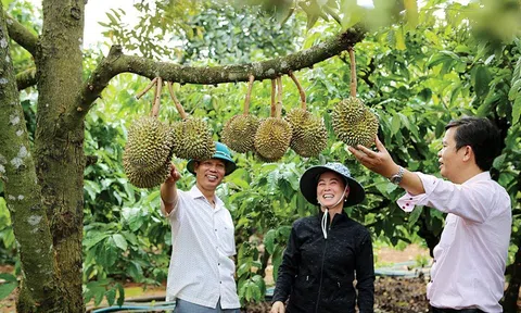 Hợp tác công tư mở ra triển vọng phát triển nông nghiệp cho Đắk Nông