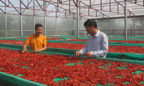 Điểm tựa vững chắc để nông dân phát triển kinh tế