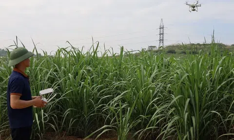 Ứng dụng trí tuệ nhân tạo vào ngành nông nghiệp