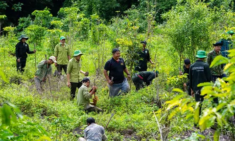 Đắk Nông triển khai các giải pháp phát triển rừng bền vững