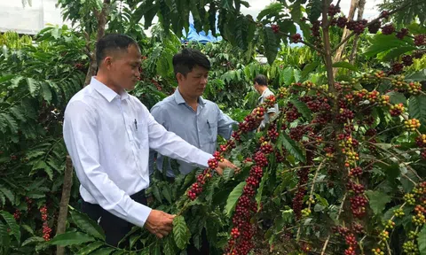 Hướng đến mục tiêu chuyển đổi xanh trong nông nghiệp tại Đắk Nông