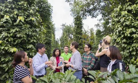 Nông nghiệp tuần hoàn trước tác động của biến đổi khí hậu ở Đắk Nông