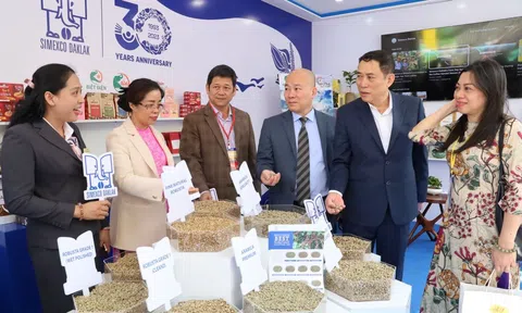 Lễ hội Cà phê Buôn Ma Thuột 2025: Tôn vinh người trồng cà phê qua chuỗi sự kiện đặc sắc