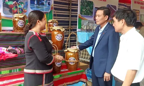 Phát triển chuỗi giá trị nông nghiệp gắn với sinh kế và phát triển bền vững ở Krông Bông