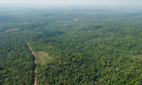 Đắk Nông với áp lực gìn giữ hơn 250.000ha rừng trong cao điểm cuối mùa khô