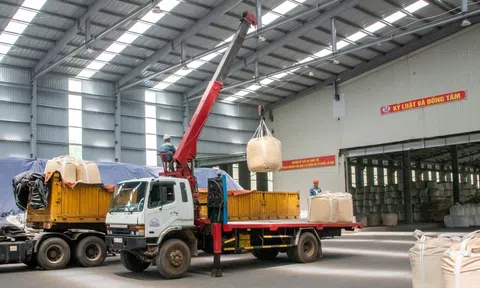 Biến động tỉ giá ngoại tệ, doanh nghiệp tìm giải pháp thích ứng với thị trường