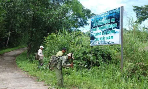 Đắk Lắk hành động quyết liệt chống xâm lấn rừng