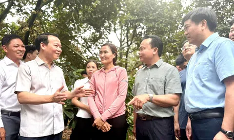 Xây dựng thương hiệu quốc gia cho sầu riêng