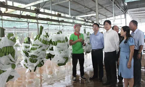 Nông nghiệp là động lực cho sự tăng trưởng kinh tế của Đắk Lắk