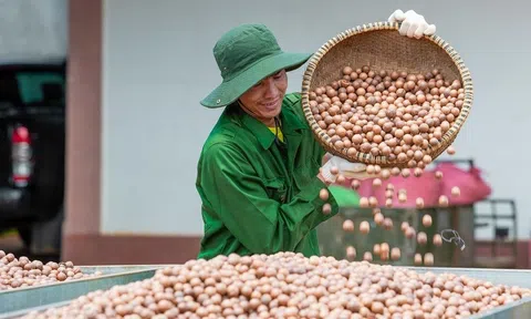 Tín dụng nông nghiệp tạo đòn bẩy cho phát triển kinh tế vùng Tây Nguyên