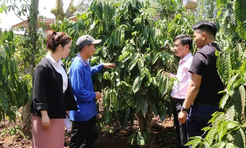 Đắk Nông: Gần 27.000 hộ đồng bào dân tộc thiểu số được tiếp sức từ vốn ưu đãi