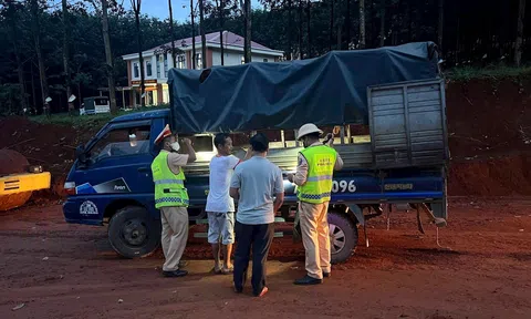 Lâm Đồng: Nỗ lực dập dịch tả lợn châu Phi ở các 'vùng đỏ'