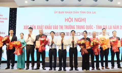 Hợp tác Gia Lai – Trung Quốc: Mở rộng cánh cửa cho nông sản Việt