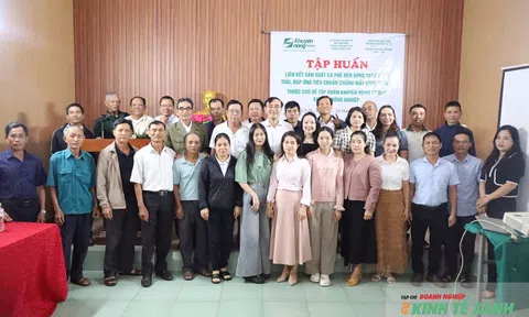 Khuyến nông Đắk Lắk tập huấn sản xuất cà phê đáp ứng tiêu chuẩn EUDR