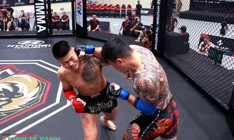 Kết quả Bốc thăm vòng Bán kết MMA Lion Championship 2022