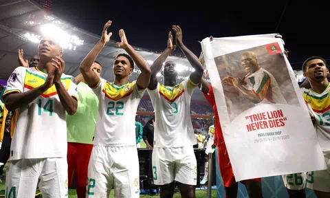 Hà Lan và Senegal - 2 đại diện của Bảng A lọt vào vòng 1/8 World Cup 2022