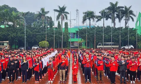 Các đội tuyển quốc gia khai xuân Giáp Thìn