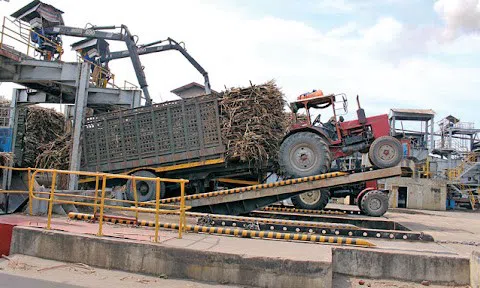 Tìm phương thức hài hòa lợi ích giữa nông dân và nhà máy đường