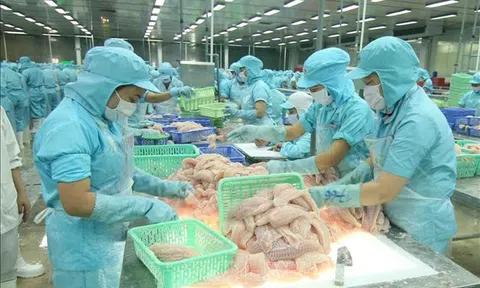 Xuất khẩu nông, lâm, thủy sản có khả năng vượt 47 tỷ USD