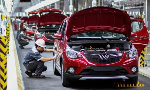 Nhận ưu đãi “kép”, thị trường ô tô Việt Nam tăng trưởng khá