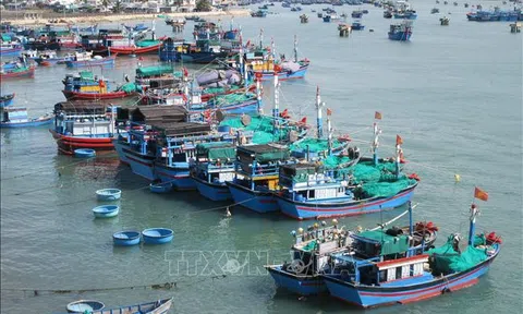 Biển đảo Việt Nam: Tăng năng lực cho đội tàu khai thác xa bờ