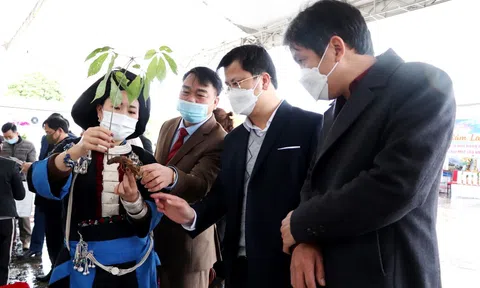 Lai Châu: Nhiều mặt hàng nông sản cho nhân dân lựa chọn sắm Tết