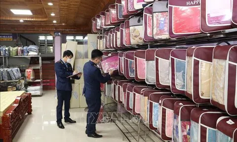 Ninh Bình tăng cường kiểm tra, kiểm soát thị trường Tết