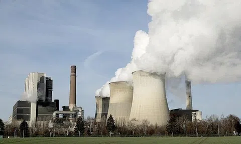 Thịt nhân tạo - xu hướng tương lai giảm phát thải CO2 trong nông nghiệp