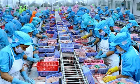 Xuất khẩu thuỷ sản ước đạt 3,3 tỷ USD, tăng 6% trong 4 tháng đầu năm 2025