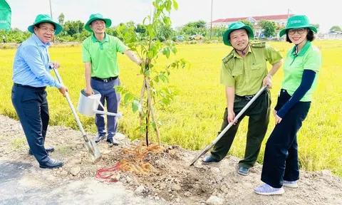 Cần Thơ phủ xanh đô thị với mục tiêu trồng hơn 1,4 triệu cây xanh