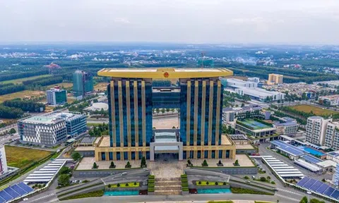 Bình Dương tinh gọn bộ máy: Tái cơ cấu 501 đơn vị sự nghiệp công lập