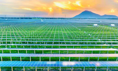 Tây Ninh định hình tương lai bằng “Điện, Mặt trời và Gió”