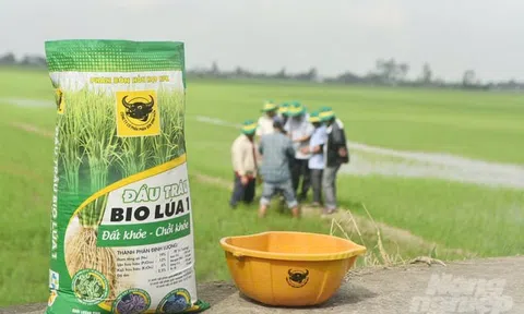 Phân bón Đầu Trâu Bio - Canxi “mở khoá” hiệu quả trong quá trình xử lý rơm rạ