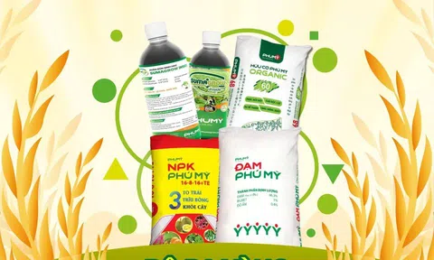 Phú Mỹ - PVFCCo đồng hành cùng Nhà nông với bộ ba vàng: “Vô cơ - Hữu cơ - Sinh học”