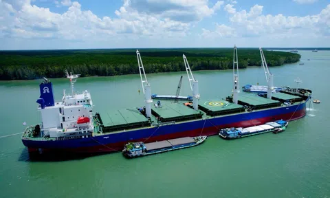 Phân bón Việt “sải cánh”: PVCFC xuất thêm 30.000 tấn sang Úc nhờ chứng chỉ Level One