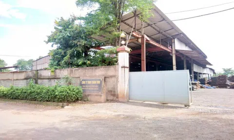 Đồng Nai: Một Công ty bị phạt 445 triệu đồng, đình chỉ hoạt động do vi phạm quy định về môi trường